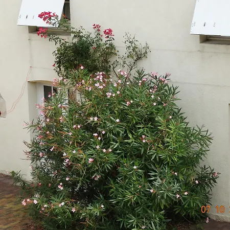 Au Relais Des Songes * La Reorthe